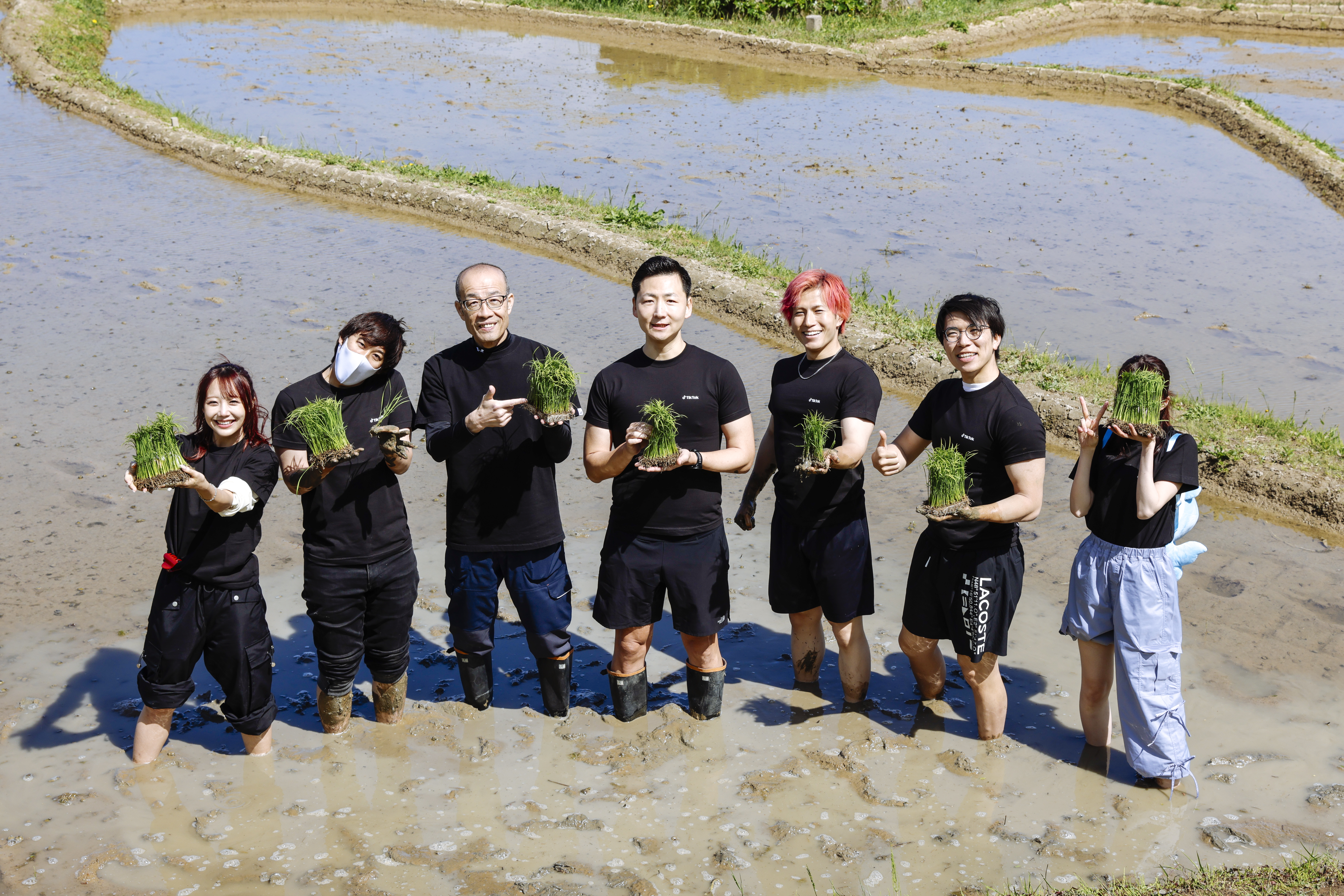 TikTok LIVE ロゴクッション (ホワイト・スモール) TikTok、ウェザーニュースと地震速報通知システムを運用開始。国内で